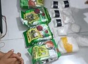 Oknum Kades Tanggamus Diduga Jadi Bandar Narkoba di Tangkap Polda Lampung BB 6 kg Sabu