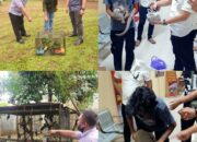 Polda Lampung tuntas kan 3 perkara satwa dilindungi