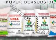 Kadis TPH-Bun Lamsel :Bibit Purwanto Kita Sikat Yang Makan Pupuk