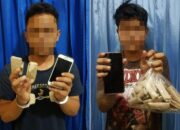 Polisi Tangkap 2 Pengedar Ganja Dan Berhasil Amankan 35 Paket Daun Ganja Kering