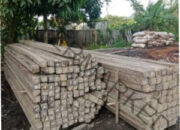 Waduh Gawat Diduga APH Tutup Mata Penebangan Hutan Lindung di Kalbar