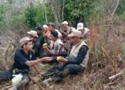 Masih Berkeliaran di Sekitar Suoh, Gajah Liar Sempat Satroni Kantor Camat