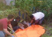 Warga Mijen Demak Dihebohkan Temuan Mayat Dalam Kardus