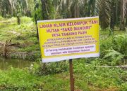 Diduga di Luar HGU, Lahan PT. MAS Diklaim Kelompok Tani Sako Mandiri Desa Tanjung Pauh