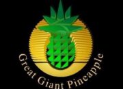 PT. GGP Tetap Terdepan, Inilah Perusahaan Penyumbang Pajak Air Bawah Tanah Tertinggi