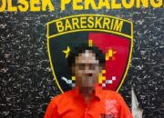 Lakukan Penganiayaan, Seorang Lalaki Di Lampung Timur Ditangkap Polisi
