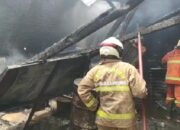 Pabrik Kerupuk Di Bandar Lampung, Di Lahap Sijago Merah