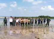 Aliansi Mahasiswa peduli Lampung Selatan(AMPULS) Mangrove’s Crep Lampung Selatan