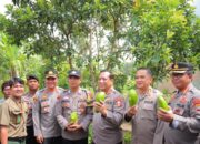 Kakorbinmas Baharkam Polri Tinjau UMKM Budidaya Tanaman Alpukat Milik Bhabinkamtibmas Polres Lampung Timur