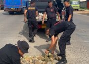 Danyon A Pelopor Bersama Anggotanya Menambal Jalan Berlubang Di Jalinsum