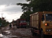 Jalan Rusak Parah Mobil Bisa Bergoyang Tak Kunjung di Perbaiki di Sriwijaya Umbul Solo Anak Tuha.