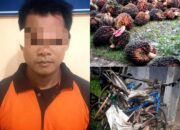 Tim Tekab 308 Polsek Padang Ratu, Lamteng Berhasil Amankan Pelaku Curat