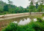 Laporan Bumdes Tidak Jelas, Warga Tanjung Harapan Hulu Sungkai Lampura Minta Diusut 