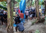 Maraknya Sabung Ayam di Leppangeng, Oknum APH Tutup Mata dan Tak Bernyali