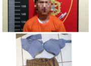 Pria Pelaku Pemerkosaan di Tangkap Jajaran Polres Lampung Timur