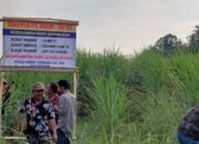 Oknum TNI-AL Dituding Kuasai Tanah Milik Almarhum Nawawi, Ahli Waris Pasang Bukti Kepemilikan