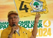 Terkait Usulan Munaslub, Menurut Alzier Dianis Thabranie Seluruh Elemen Partai Golkar Tetap Solid Dukung Airlangga Hartarto Jadi Calon Presiden
