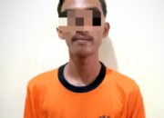 Setubuhi Anak Dibawah Umur Hingga Hamil,Pelaku Ditangkap Polsek Seputih Surabaya