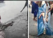 Penemuan Mayat Tergeletak di Pesisir Pantai Ketapang Kec Ketapang Lamsel