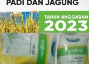WAH… WAH …GAWAT ….GAWAT PROGRAM BANTUAN JAGUNG DAN KEDELAI DI KECAMATAN BUMI NABUNG LAMPUNG TENGAH DI DUGA DI JADIKAN LAHAN BISNIS