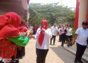 Walikota Lakukan Penyerahan Insentif Kader Posyandu, Poskeskel Dan Posyandu Lansia Di Kecamatan Se-Kota Bandarlampung