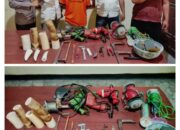 Tim Tekab 308 Presisi Polsek Seputih Surabaya Polres Lampung Tengah Berhasil Amankan AG Selaku Bisnis Gading Gajah ilegal