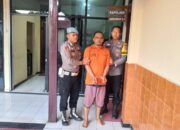 Seorang Pedagang Buah Asal Lampung Selatan ditangkap Polisi,Karena Curi Ratusan Buah Nanas