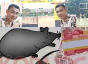 Diduga Kuat Kepala SDN 1 Rantau Jaya Makmur Putra Rumbia Lampung Tengah Mempunyai Keahlian Dalam Maling dan Mengkotak Katik Dana Bos