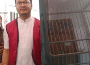 Kasus Keterangan Palsu Hingga Hilangkan Hak Ibu dan Anak di Vonis 6 Bulan Tahanan Kota, Beberapa Kejanggalan Pun Dirasakan Shelvia.