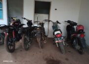 Polres Lampung Timur Grebek Aktifitas Judi Sabung Ayam
