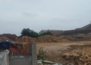 Mengingatkan Lagi: Selamatkan Hutan Kota dari Investasi Rakus Ruang