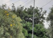 Dinas Koperasi dan UKM Kibarkan Bendera Merah Putih Robek dan Kusam, Diduga Kuat Ada Pembiaran Oleh Pihak Dinas