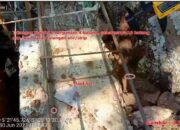 LSM MTM Sikapi Dugaan Adanya Penyimpangan Dalam Pelaksanaan Proyek Yang Dikelola DKTH Provinsi Lampung TA 2023.