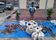 Seorang Warga Tertangkap Saat Berburu Di Hutan Lindung Way Kambas