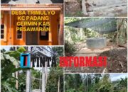 Pelaksanaan ADD TA 2023 Desa Trimulyo Padang Cermin Diduga Sarat Mark-up dan Rekayasa serta Potensi Rugikan Keuangan Negara.