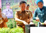 Pemkab Pringsewu Adakan Gerakan Serentak Menanam Cabai 