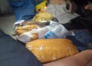 Satresnarkoba Polres Lampung Tengah Sergap Mobil Box Berisi 11 Kilogram Ganja