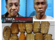 Polres Lampung Tengah Ungkap Sindikat Narkoba Antar Provinsi, 2 Pelaku dan 11 Kg Ganja Berhasil Diamankan