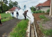 Penyemprotan Fogging Antisipasi Demam Berdarah di Tanggamus