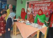 Posyandu Balita Kelurahan Gedong Meneng Rutin Digelar, Berikan Pelayanan Kesehatan Bayi, Balita dan Ibu Hamil