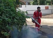 Tim Iqbal Ardiansyah Lakukan Fogging di Kelurahan Kampung Baru Raya, Namun Sempat Terhenti