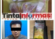 Ops Antik Krakatau 2024, Pengedar Sabu Diringkus Sat Res Narkoba Polres Lampung Tengah