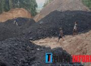 Tambang Batu Bara Ilegal Di Waykanan Bikin Resah Masyarakat.