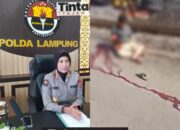 Diduga Depresi, Satreskrim Polresta Bandar Lampung Identifikasi Identitas Korban Nekat Tabrakan Diri ke Kereta Api
