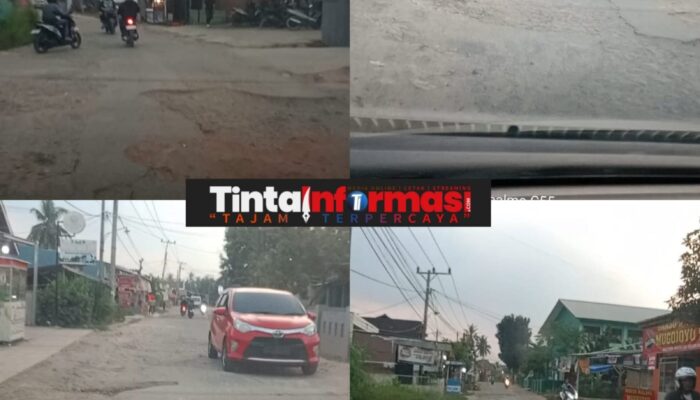 Warga Jatimulyo Lamsel Keluhkan Kondisi Jalan Cendana Penuh Lubang, Berharap Bupati Turun dan Perbaiki