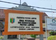 Bakal Dilaporkan ke APH oleh LSM Rubik, Ini Tanggapan Dinas Peternakan dan Kesehatan Hewan