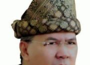 Alzier Yakin Ridho Ficardo Tak Mungkin Pimpin Gerindra Lampung