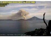 Gunung Krakatau Meletus, Semburkan Abu 200 Meter, Warga Dilarang Mendekat