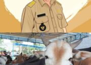Modus Sumbangan Oknum Camat Tegik Lurah Beli Sapi Buat Kurban
