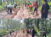 Jalan Rusak Tak Kunjung Diperbaiki, Puluhan Warga Kecamatan Batu Putih Tanam Pohon Pisang di Sepanjang Jalan Rusak